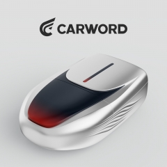 Carword